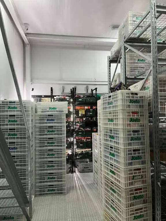 Imagem Galpão para Alugar, 5.000 m² em Parque São Domingos - São Paulo