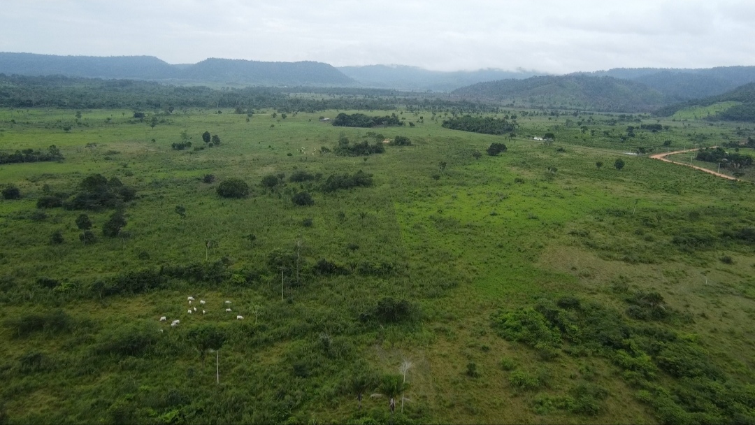 Imagem Fazenda à Venda, 90 m²em Centro - São Félix do Xingu