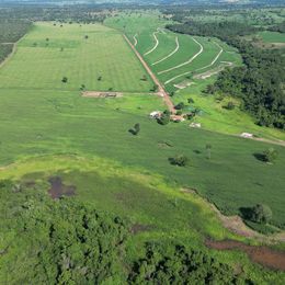 Imagem Fazenda à Venda, 100 m²em ZONA RURAL - São Miguel do Araguaia Imagem Fazenda à Venda, 100 m²em ZONA RURAL - São Miguel do Araguaia