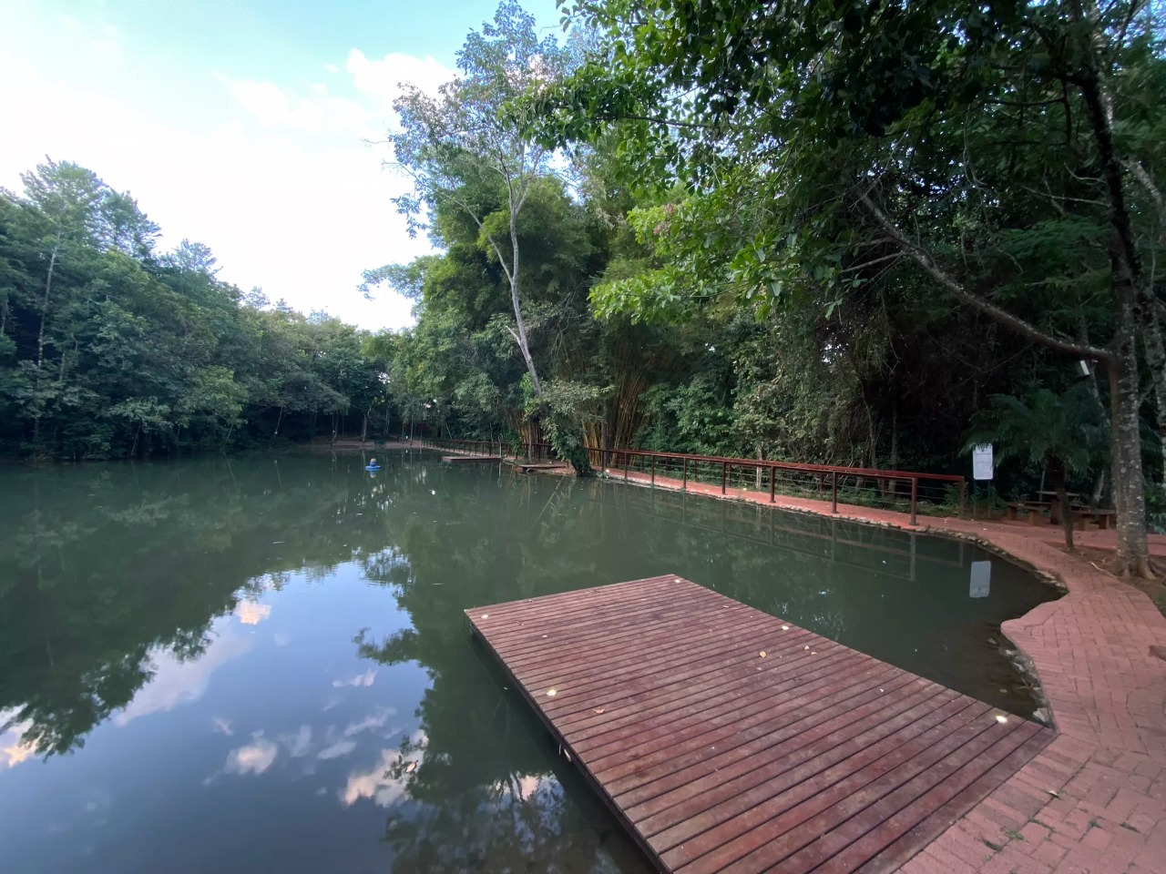 Imagem Casa de Condomínio com 3 Quartos à Venda, 245 m²em Jardins Atenas - Goiânia