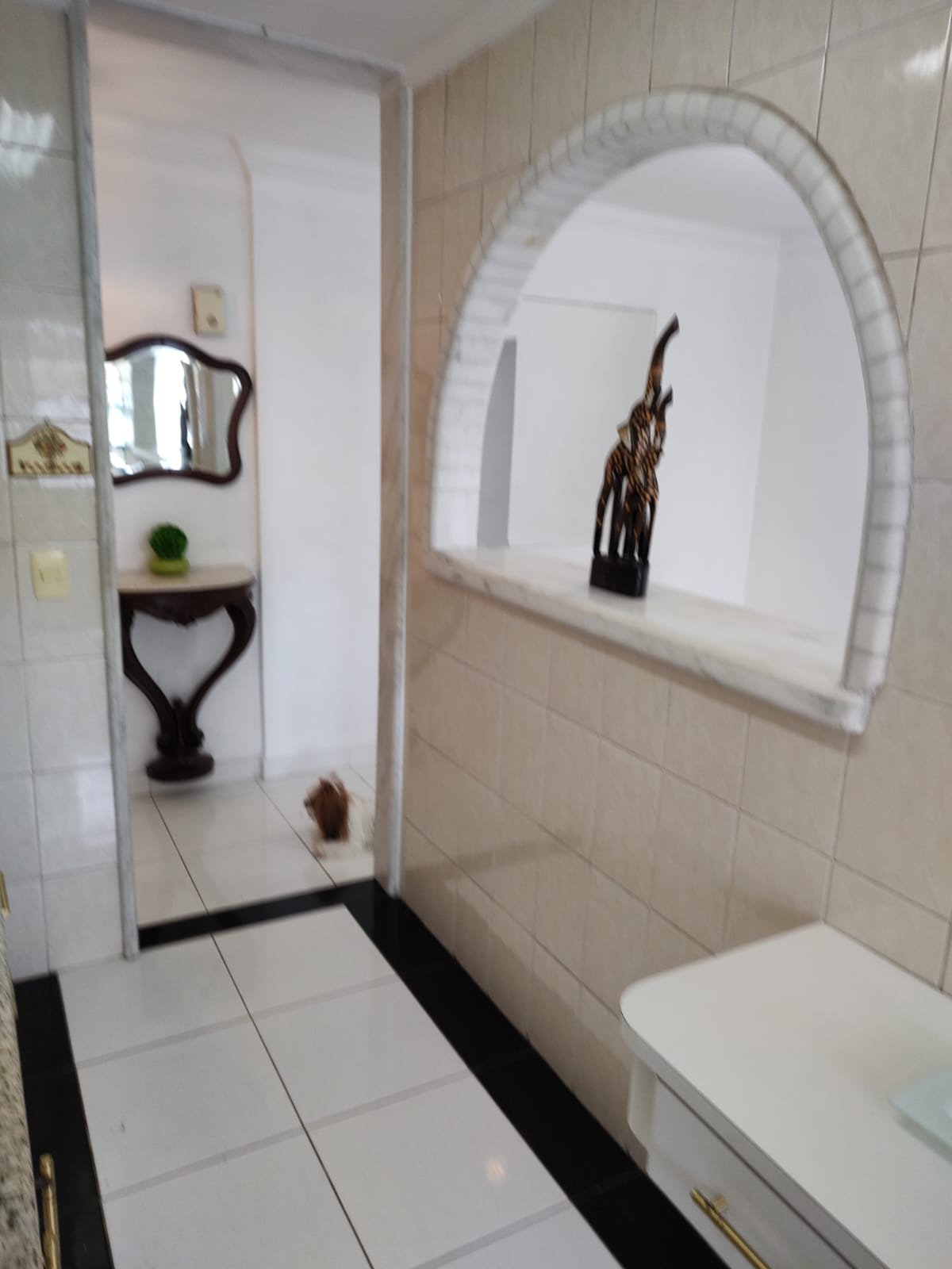 Imagem Apartamento com 2 Quartos à Venda ou Locação, 50 m²em Brás - São Paulo Imagem Apartamento com 2 Quartos à Venda ou Locação, 50 m²em Brás - São Paulo
