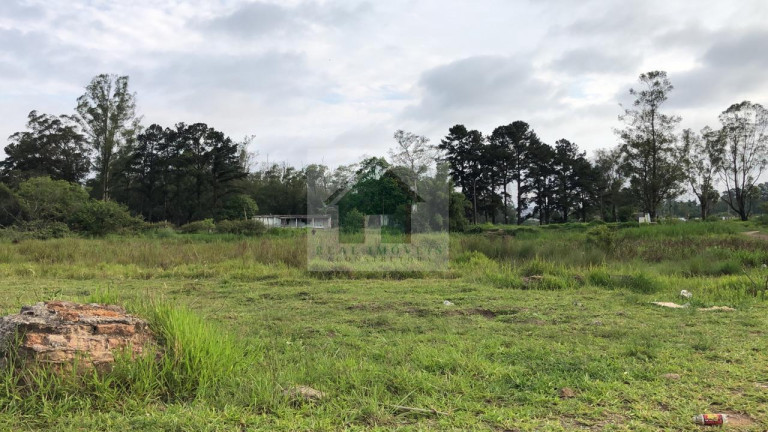 Imagem Terreno à Venda, 49.840 m² em Jardim Izildinha - Guarulhos Imagem Terreno à Venda, 49.840 m² em Jardim Izildinha - Guarulhos
