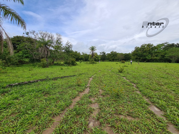 Imagem Fazenda à Venda, 24 HA em brazlandia - Brasília Imagem Fazenda à Venda, 24 HA em brazlandia - Brasília