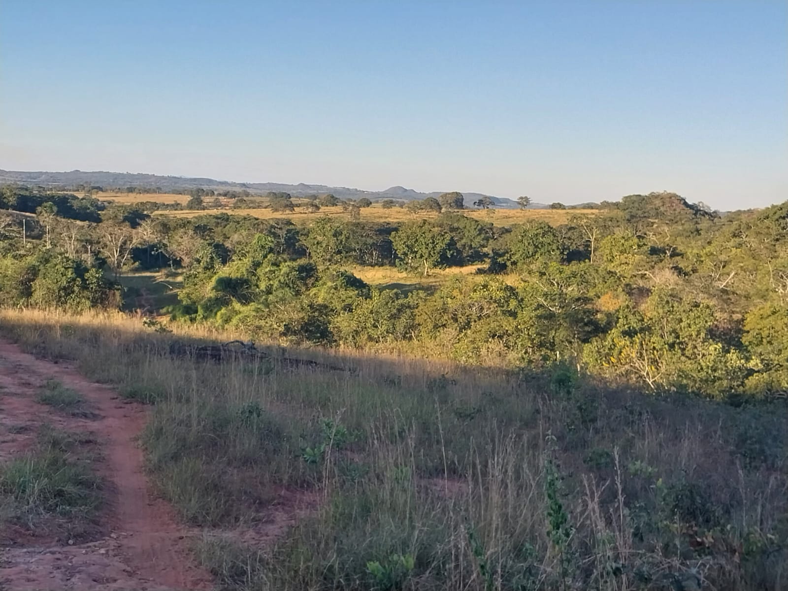 Imagem Fazenda à Venda, 353 HAem ZONA RURAL - Alto Araguaia