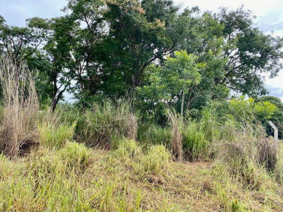 Imagem Chácara com 1 Quarto à Venda, 2.000 m² em Chácaras de Recreio Samambaia - Goiânia Imagem Chácara com 1 Quarto à Venda, 2.000 m² em Chácaras de Recreio Samambaia - Goiânia