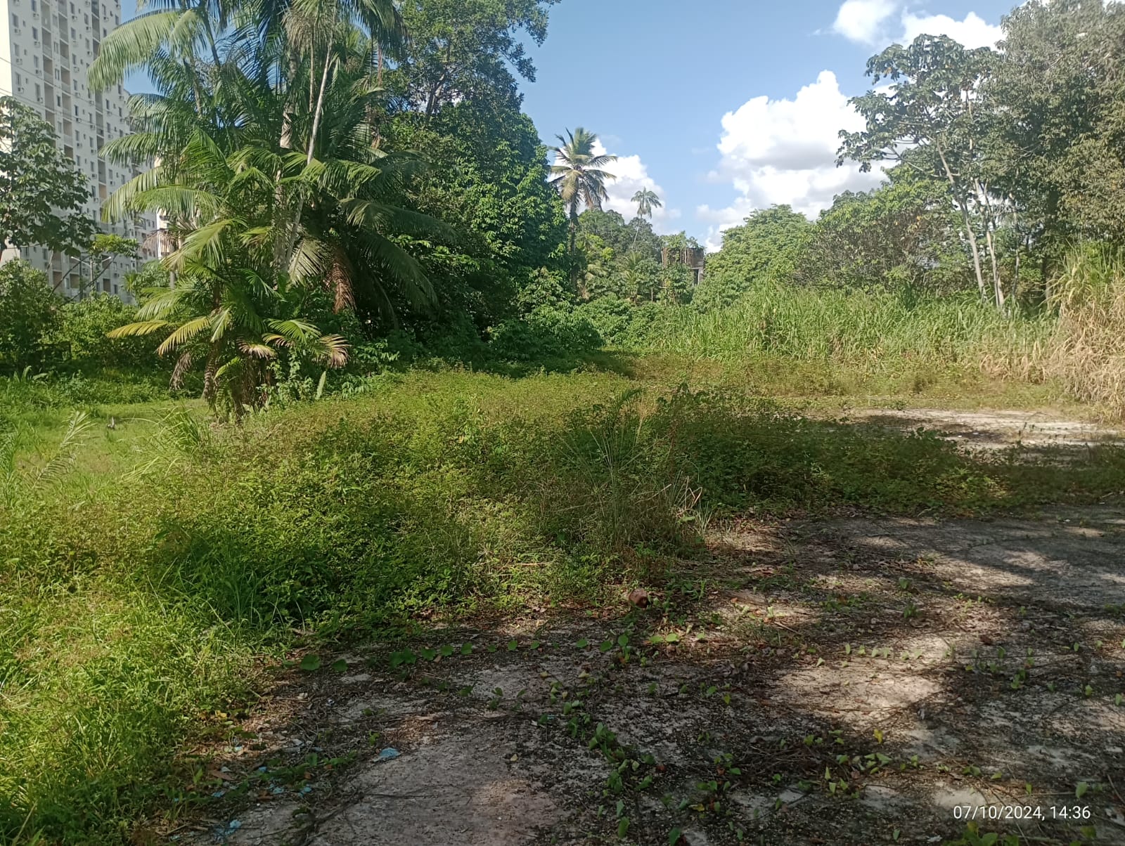 Imagem Terreno à Venda, 34 m²em Tenoné - Belém Imagem Terreno à Venda, 34 m²em Tenoné - Belém