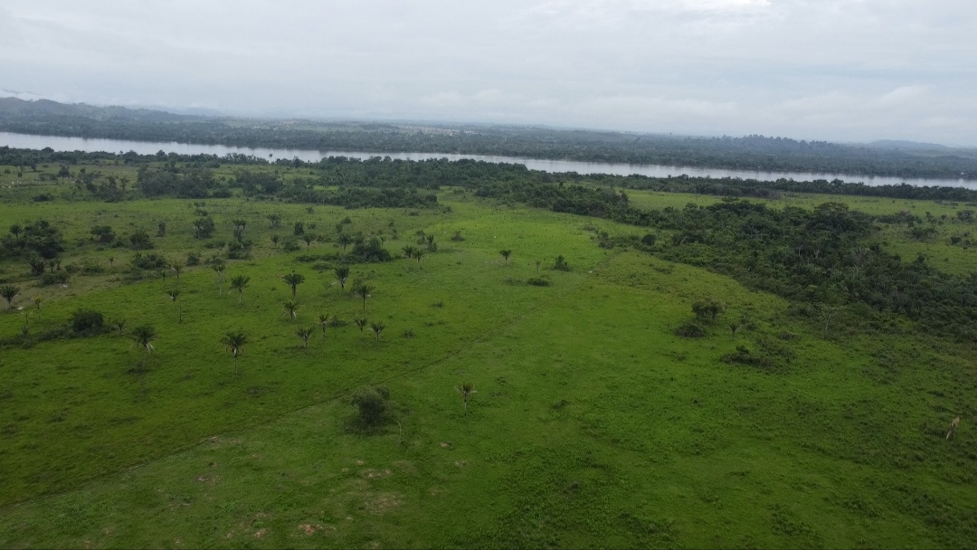 Imagem Fazenda à Venda, 90 m²em Centro - São Félix do Xingu