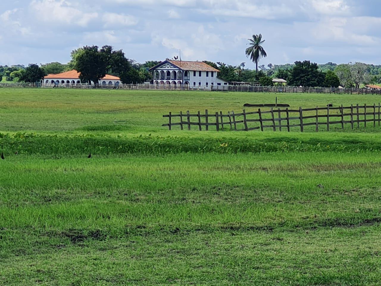 Imagem Fazenda à Venda, 11.970 m² em Zona Rural - Alenquer Imagem Fazenda à Venda, 11.970 m² em Zona Rural - Alenquer