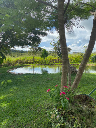 Imagem Chácara com 3 Quartos à Venda, 48.400 m² em zona rural - Orizona