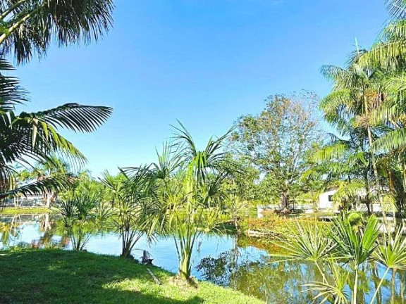 Imagem Chácara com 3 Quartos à Venda, 16.900 m² em Pau Darco - Santa Bárbara do Pará