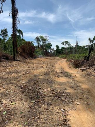 Imagem Fazenda à Venda, 837 HA em Área Rural de Santarém - Santarém