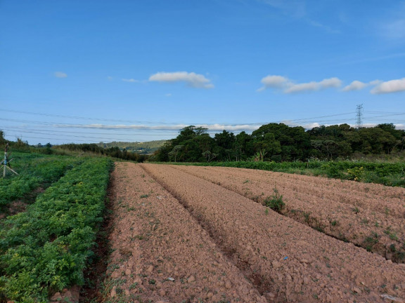 Imagem Terreno à Venda, 500 m² em Centro - Cotia Imagem Terreno à Venda, 500 m² em Centro - Cotia
