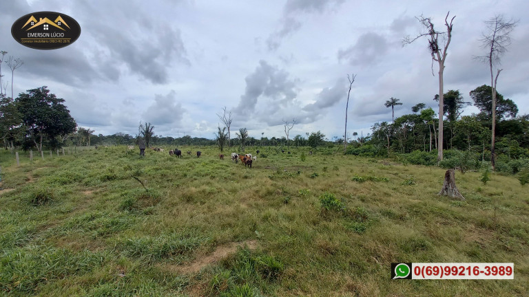 Imagem Fazenda à Venda, em Zona Rural - Candeias do Jamari Imagem Fazenda à Venda, em Zona Rural - Candeias do Jamari