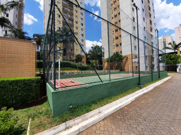 Imagem Apartamento com 3 Quartos à Venda, 60 m² em Cidade Patriarca - São Paulo