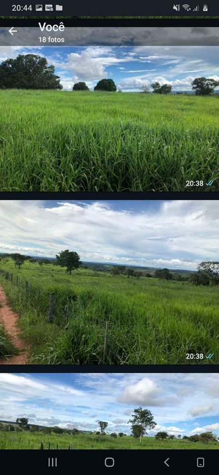 Imagem Fazenda à Venda, 1047 HA em ZONA RURAL - Guiratinga Imagem Fazenda à Venda, 1047 HA em ZONA RURAL - Guiratinga