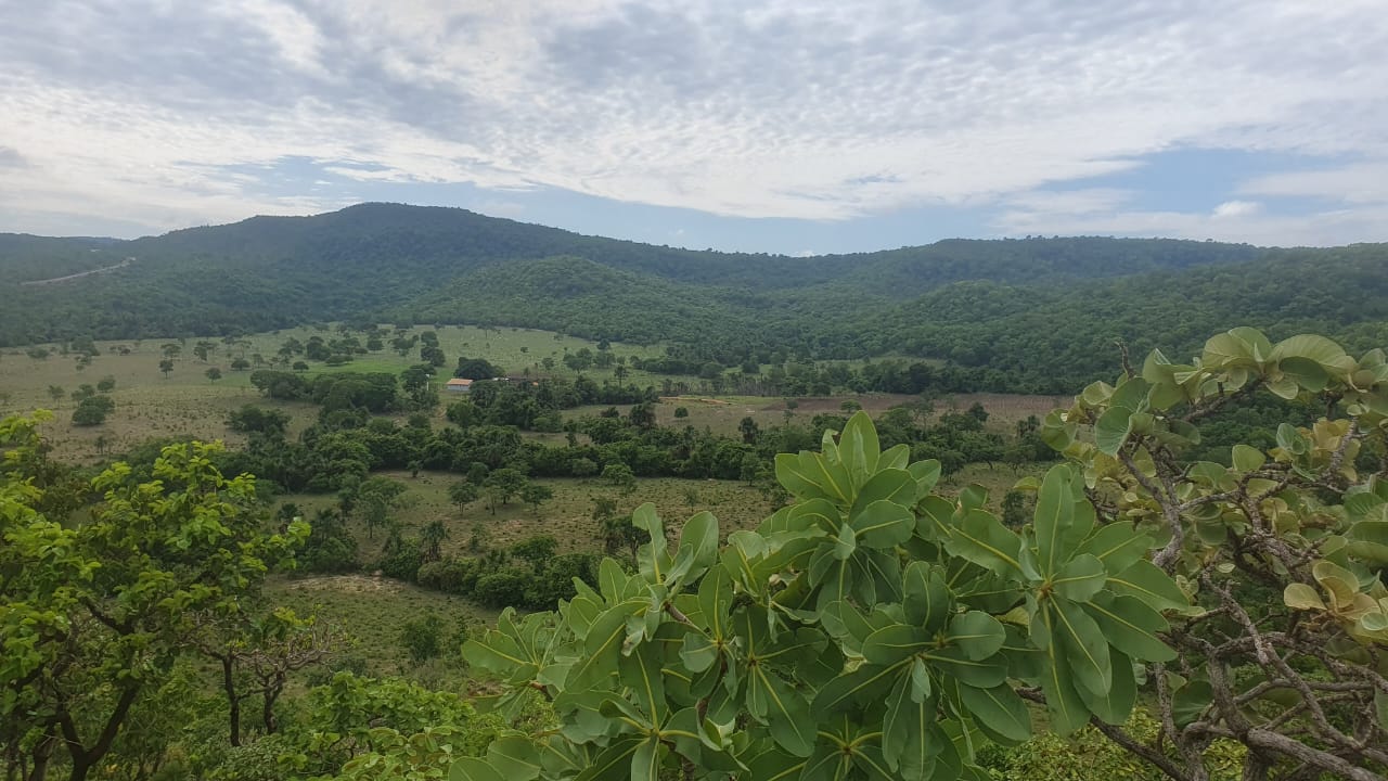 Imagem Fazenda à Venda, 136 Alq GOem ZONA RURAL - Crixás Imagem Fazenda à Venda, 136 Alq GOem ZONA RURAL - Crixás