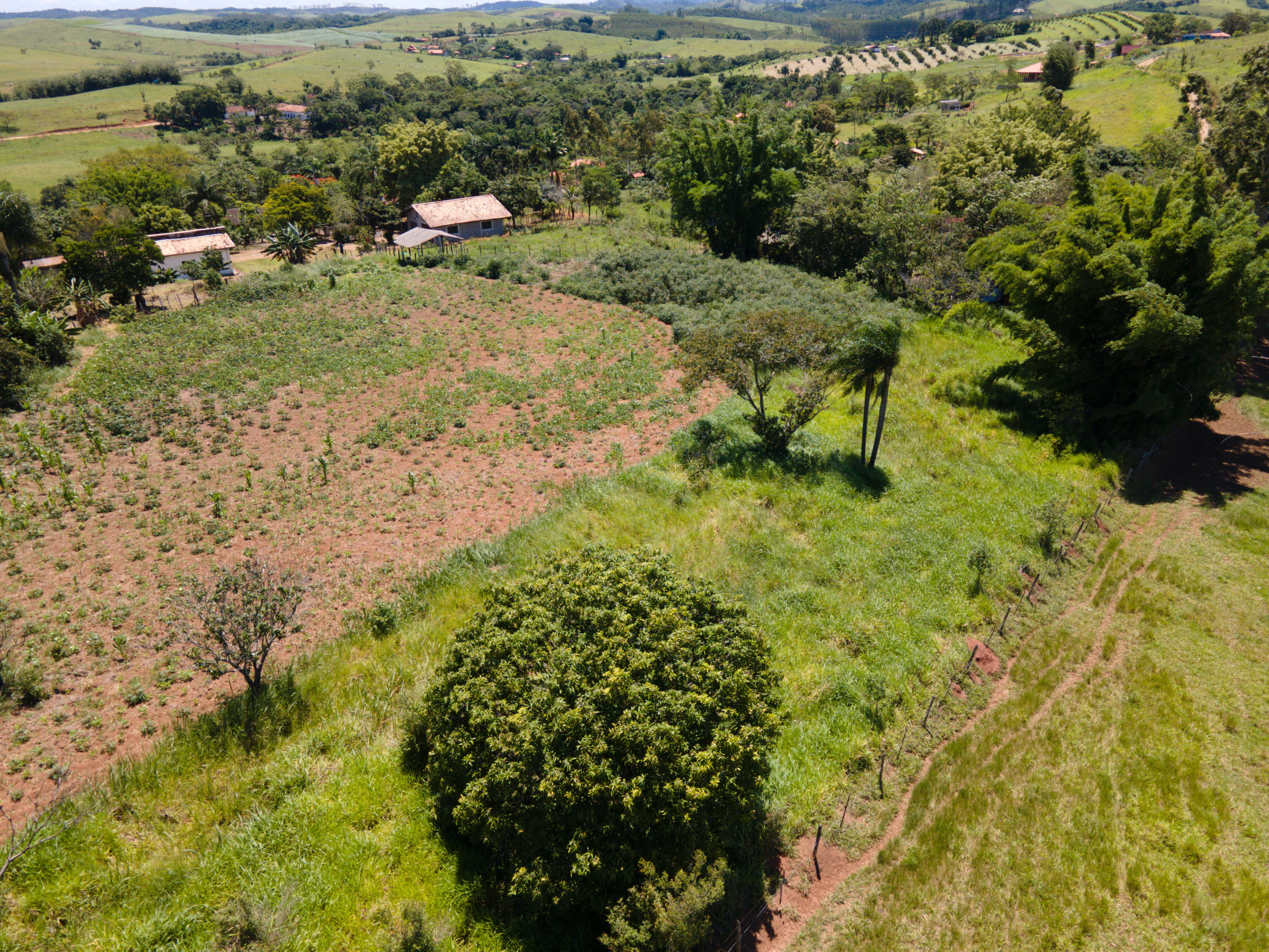 Imagem Chácara com 3 Quartos à Venda, 24.000 m² em Chácara Marambaia - Caçapava Imagem Chácara com 3 Quartos à Venda, 24.000 m² em Chácara Marambaia - Caçapava