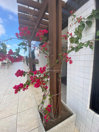 Imagem Apartamento com 2 Quartos à Venda, 55 m² em Pinheiro - Maceió