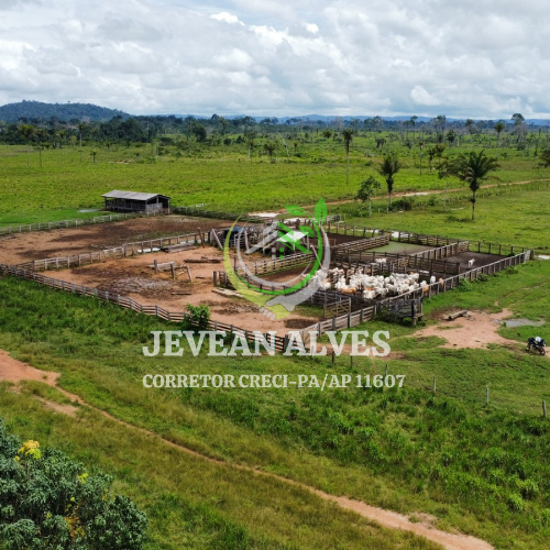 Imagem Fazenda à Venda, 4 m²em Centro  - São Félix do Xingu