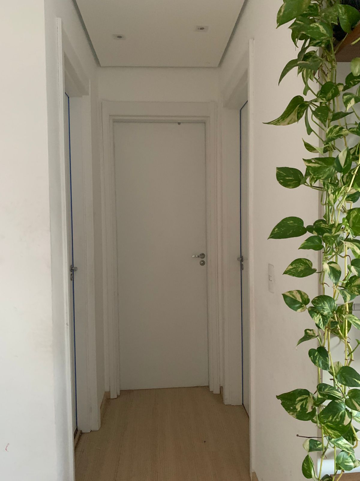 Imagem Apartamento com 2 Quartos à Venda, 49 m²em Loteamento City Jaragua - São Paulo Imagem Apartamento com 2 Quartos à Venda, 49 m²em Loteamento City Jaragua - São Paulo