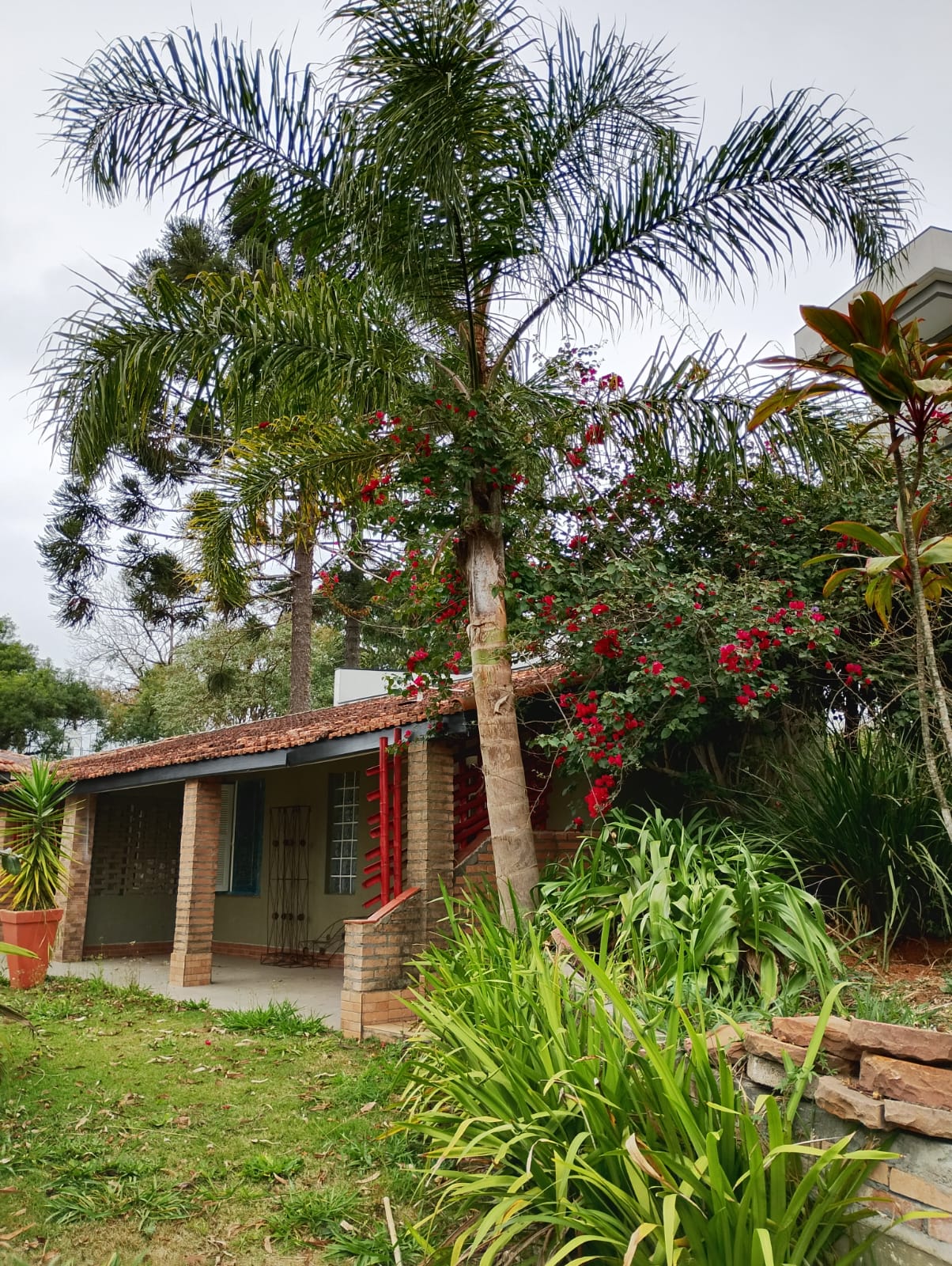 Imagem Casa de Condomínio com 4 Quartos para Alugar, 480 m² em Jardim São Vicente - Cotia
