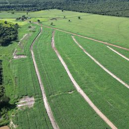 Imagem Fazenda à Venda, 100 m²em ZONA RURAL - São Miguel do Araguaia Imagem Fazenda à Venda, 100 m²em ZONA RURAL - São Miguel do Araguaia