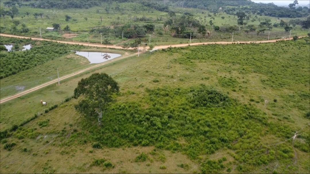 Imagem Fazenda à Venda, 90 m²em Centro - São Félix do Xingu
