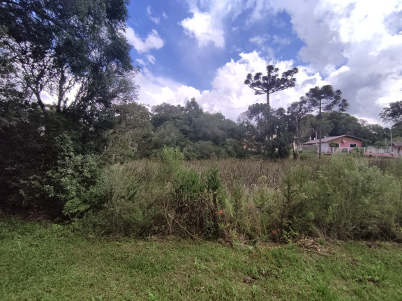 Imagem Chácara com 2 Quartos à Venda, 19.960 m² em LAGOA DOS SOUZA - Agudos do Sul