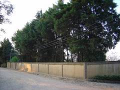 Imagem Chácara com 3 Quartos à Venda, 10 hectareem Chácaras Alpina - Valinhos