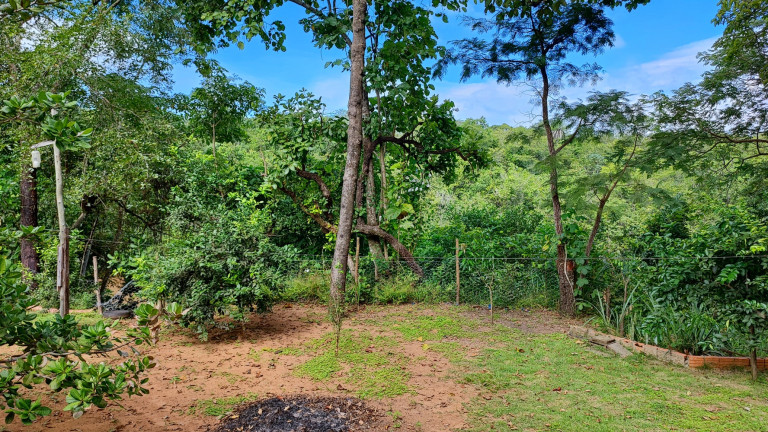 Imagem Chácara com 2 Quartos à Venda, 3.023 m² em Chacara das Mansões - Rochedo