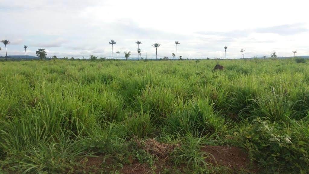 Imagem Fazenda à Venda, 9.399 m² em Centro - São Félix do Xingu Imagem Fazenda à Venda, 9.399 m² em Centro - São Félix do Xingu