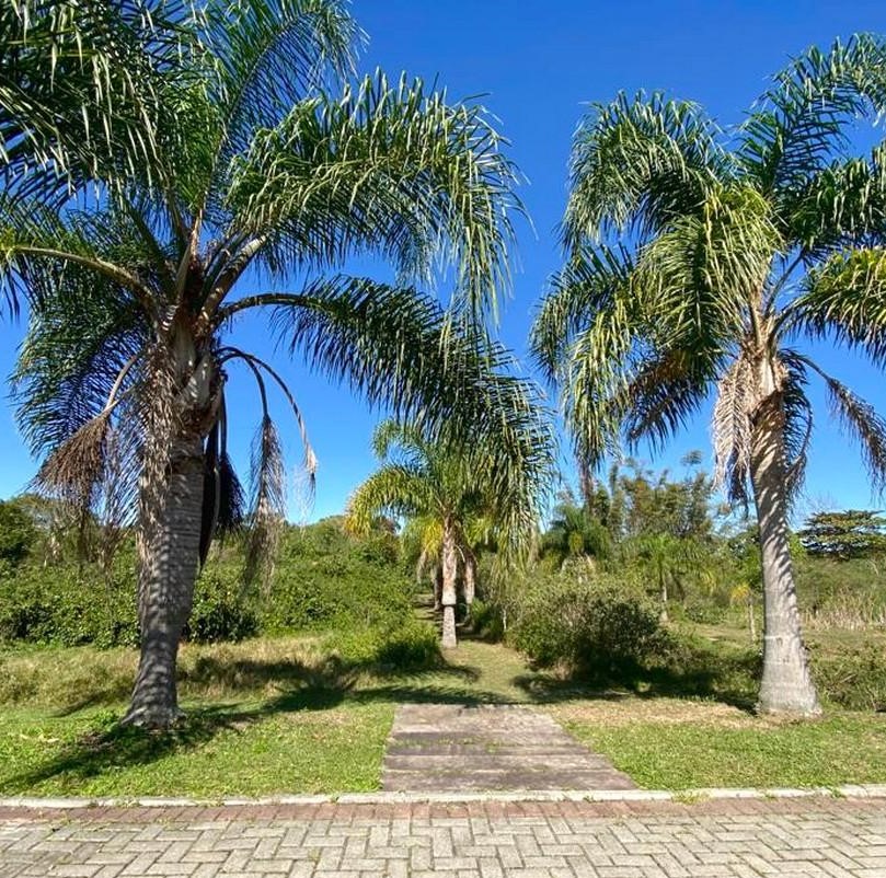 Imagem Terreno em Condomínio à Venda, 409 m² em Canasvieiras - Florianópolis Imagem Terreno em Condomínio à Venda, 409 m² em Canasvieiras - Florianópolis