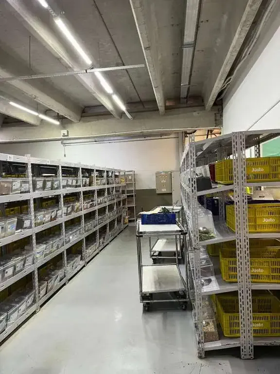 Imagem Galpão para Alugar, 5.000 m² em Parque São Domingos - São Paulo