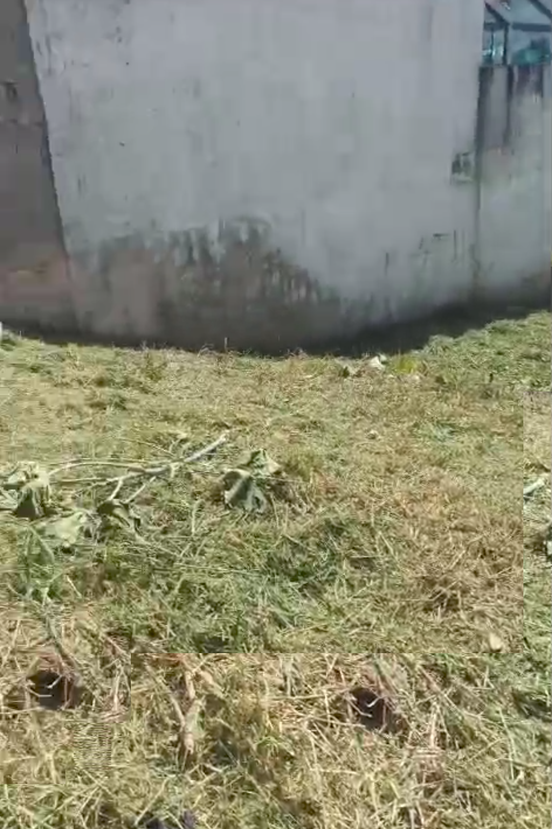 Imagem Terreno à Venda, 300 m²em Jardim Universo - Mogi das Cruzes Imagem Terreno à Venda, 300 m²em Jardim Universo - Mogi das Cruzes
