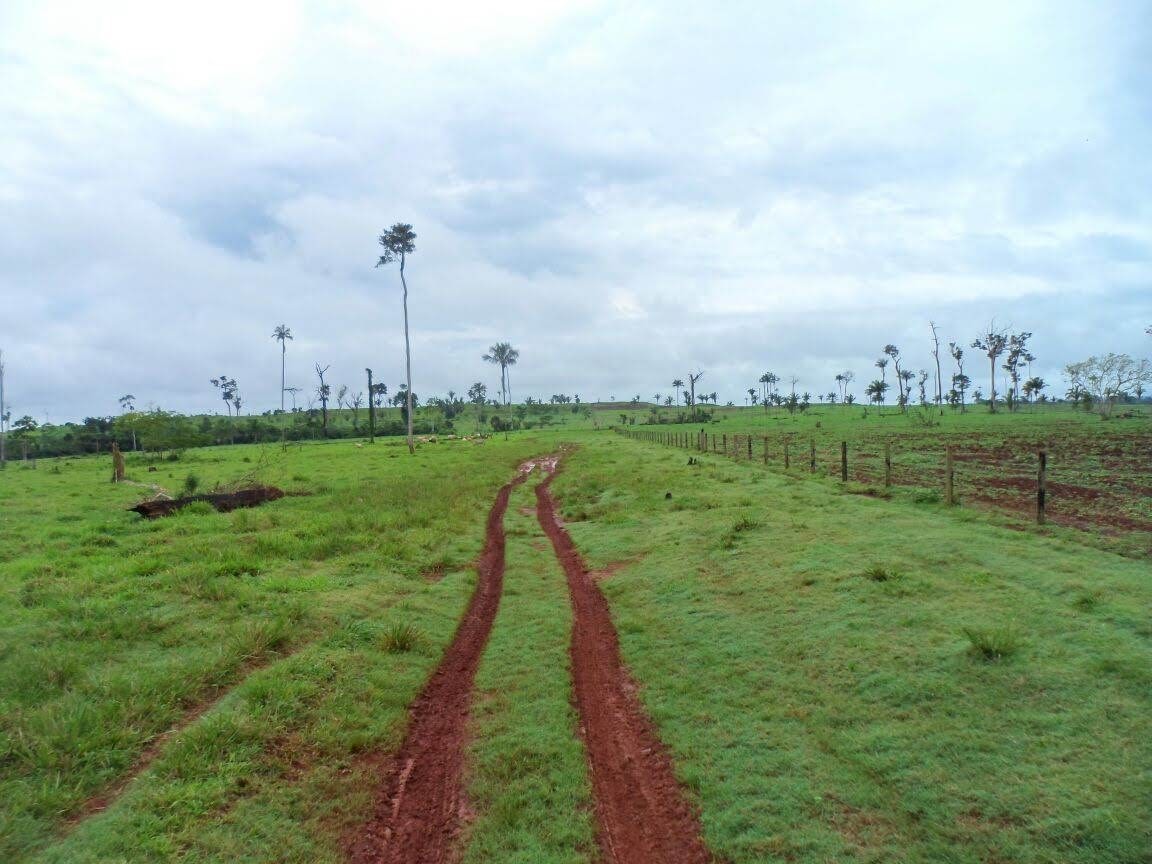 Imagem Fazenda à Venda, 9.399 m² em Centro - São Félix do Xingu Imagem Fazenda à Venda, 9.399 m² em Centro - São Félix do Xingu