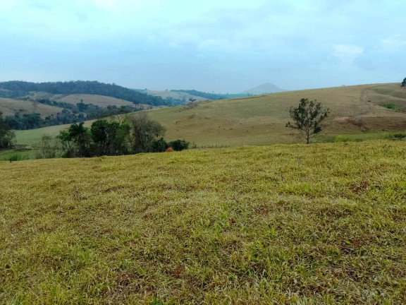 Imagem Fazenda à Venda, 135 Alq SP em Rural - Caconde