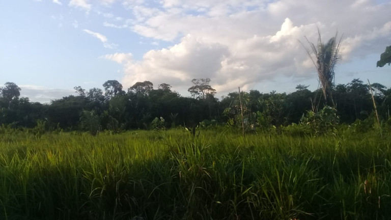 Imagem Terreno à Venda, em Zona Rural - Humaitá Imagem Terreno à Venda, em Zona Rural - Humaitá