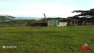 Imagem Fazenda à Venda, 74 Alq SPem ZONA RURAL - Garça Imagem Fazenda à Venda, 74 Alq SPem ZONA RURAL - Garça