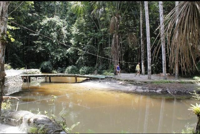 Imagem Chácara com 6 Quartos à Venda, 1 m² em área Rural - Manaus