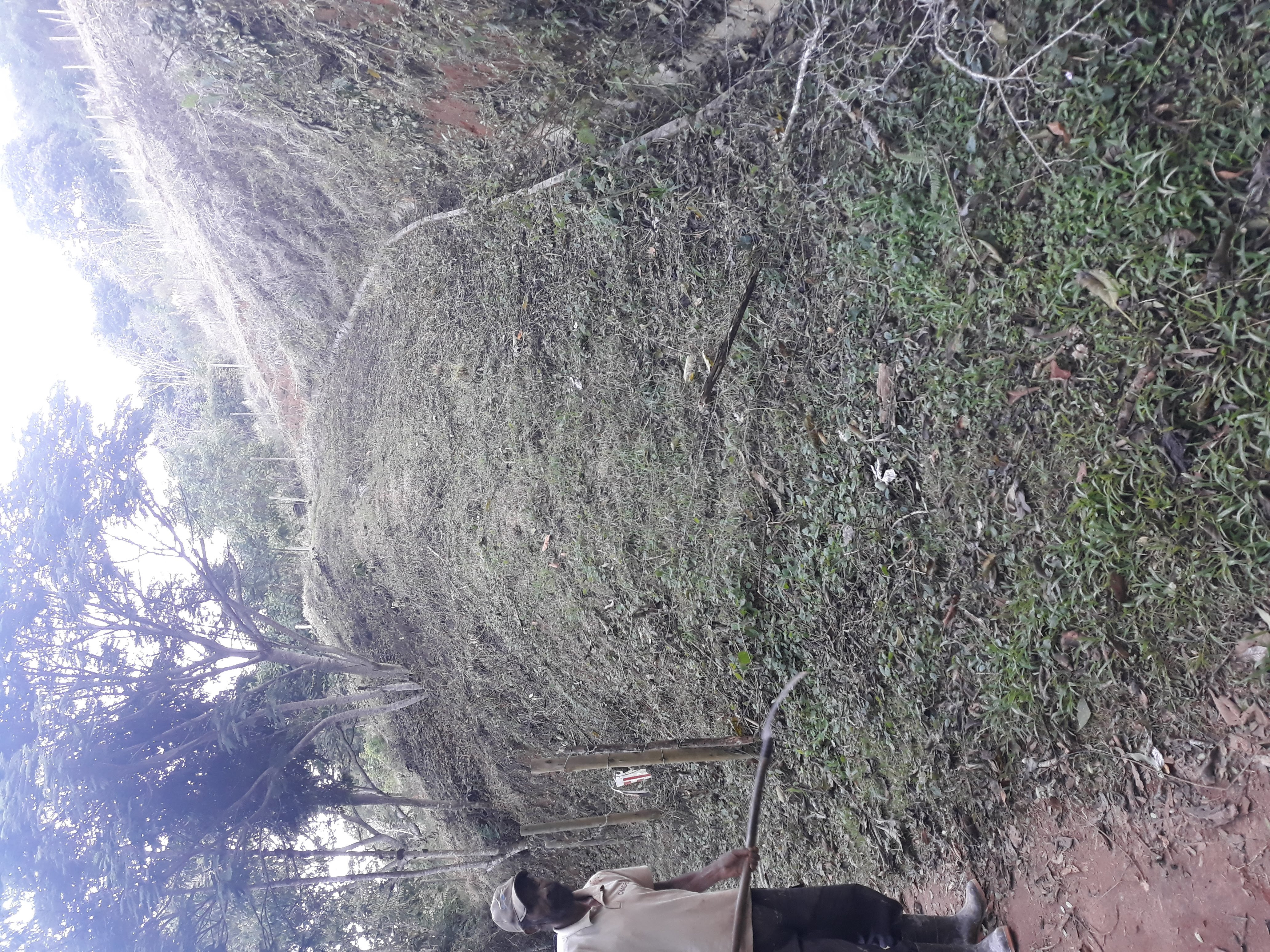Terreno à Venda, em Humaitá - Juiz de Fora