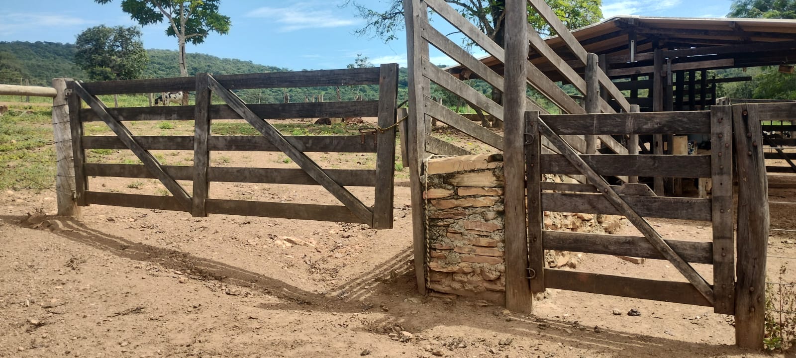 Imagem Fazenda à Venda, 16 Alq GO em SN - Caldas Novas Imagem Fazenda à Venda, 16 Alq GO em SN - Caldas Novas