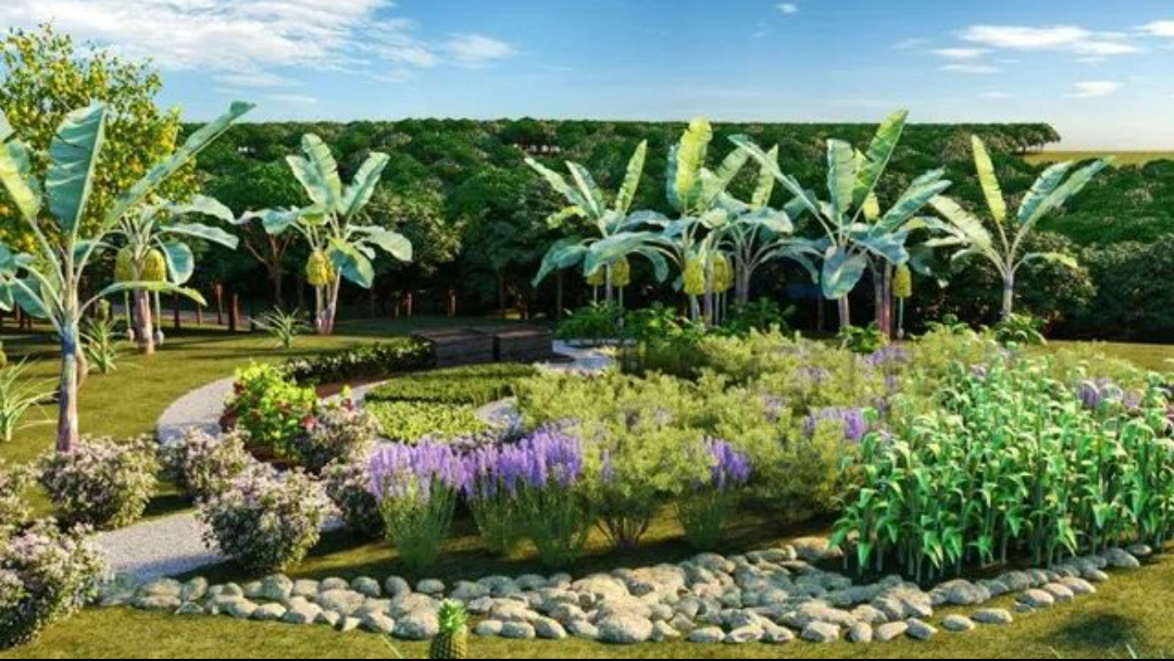 Imagem Terreno à Venda, 250 m²em Cézar de Souza - Mogi das Cruzes Imagem Terreno à Venda, 250 m²em Cézar de Souza - Mogi das Cruzes