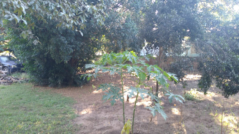 Imagem Chácara com 4 Quartos à Venda, 300 m² em Jardim do Trevo - Araçatuba Imagem Chácara com 4 Quartos à Venda, 300 m² em Jardim do Trevo - Araçatuba