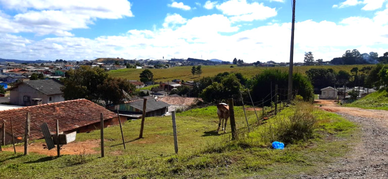 Imagem Terreno à Venda, 324 m²em São Miguel - Lages Imagem Terreno à Venda, 324 m²em São Miguel - Lages