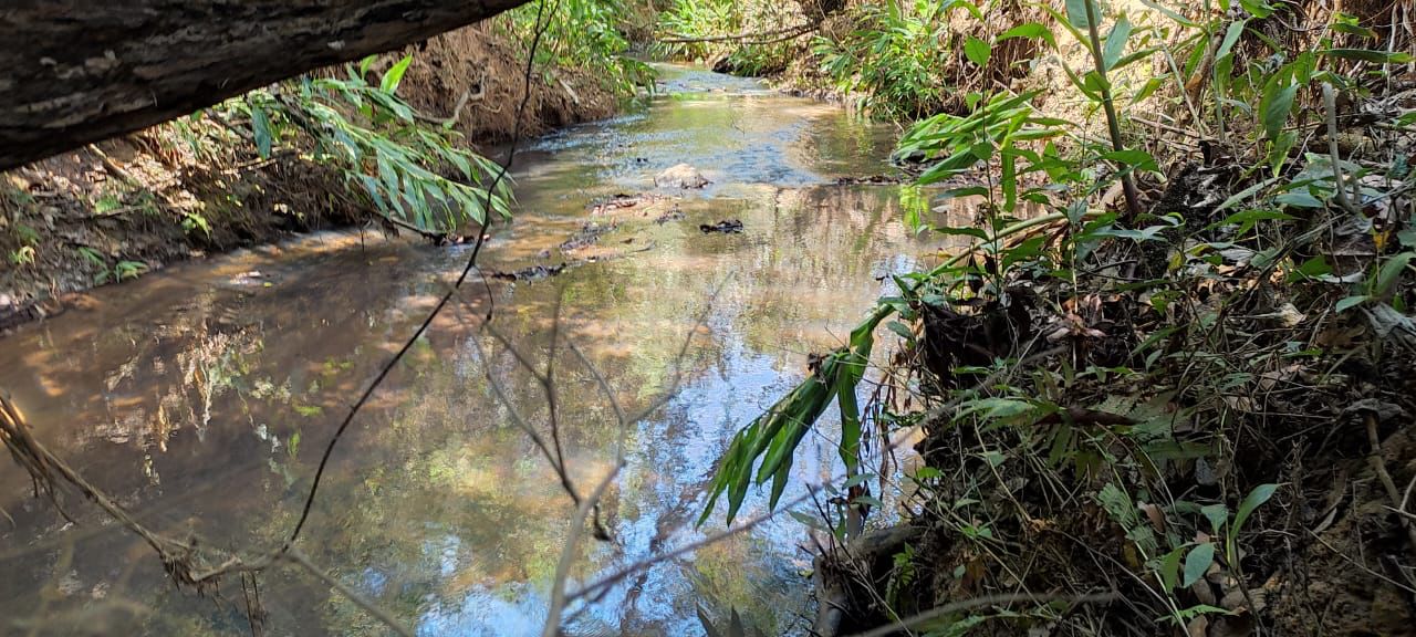 Imagem Fazenda à Venda, 51 HAem zona rural - Desterro de Entre Rios