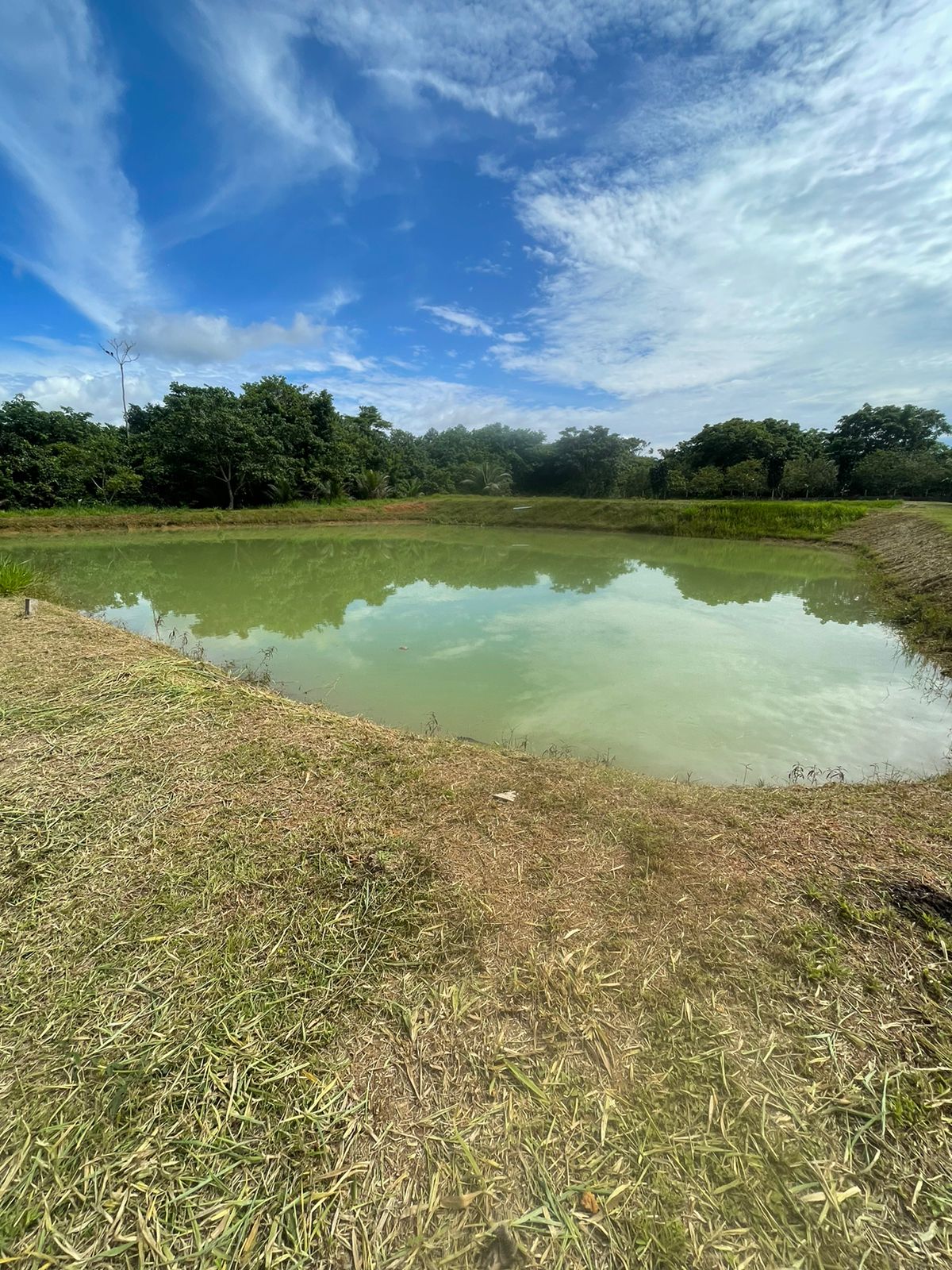 Imagem Terreno à Venda, 210.000 m²em Área Rural de Manacapuru - Manacapuru Imagem Terreno à Venda, 210.000 m²em Área Rural de Manacapuru - Manacapuru