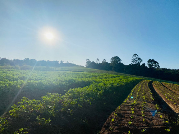 Imagem Chácara à Venda, 1.000 m² em Votora Curral Paruru - Ibiúna Imagem Chácara à Venda, 1.000 m² em Votora Curral Paruru - Ibiúna