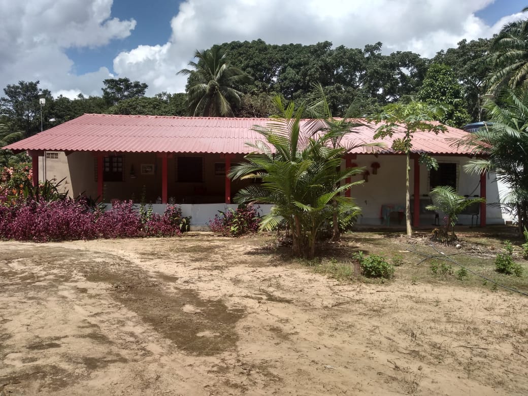 Imagem Chácara à Venda, 37 m²em Zona Rural - Vigia
