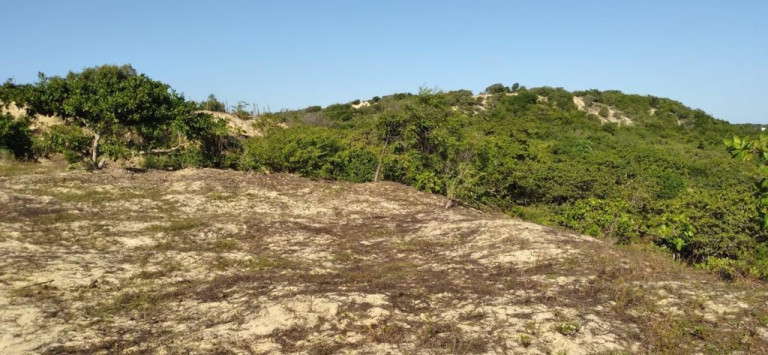 Imagem Terreno à Venda, 5.658 m²em Pajuçara - Natal Imagem Terreno à Venda, 5.658 m²em Pajuçara - Natal