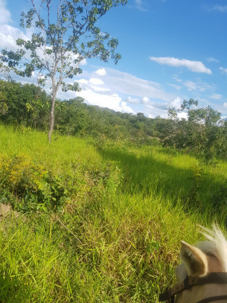 Imagem Fazenda à Venda, em Área Rural - Padre Bernardo Imagem Fazenda à Venda, em Área Rural - Padre Bernardo